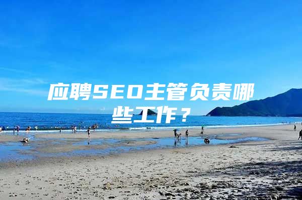 应聘SEO主管负责哪些工作？