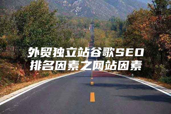 外贸独立站谷歌SEO排名因素之网站因素