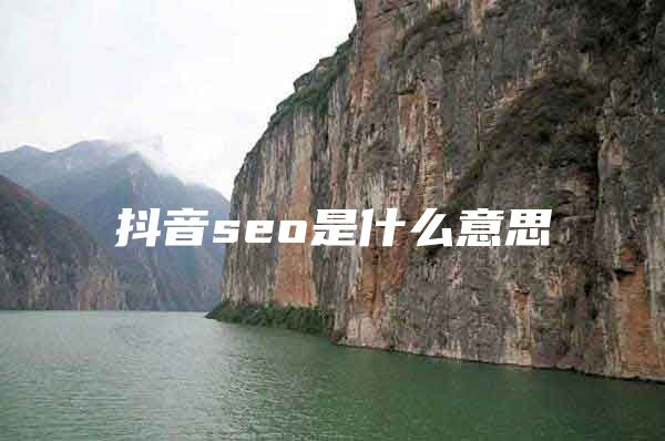 抖音seo是什么意思