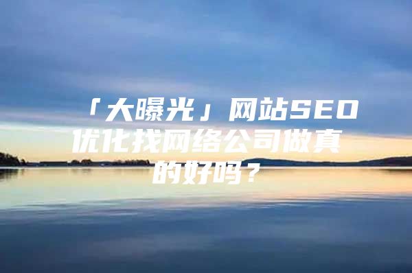 「大曝光」网站SEO优化找网络公司做真的好吗?