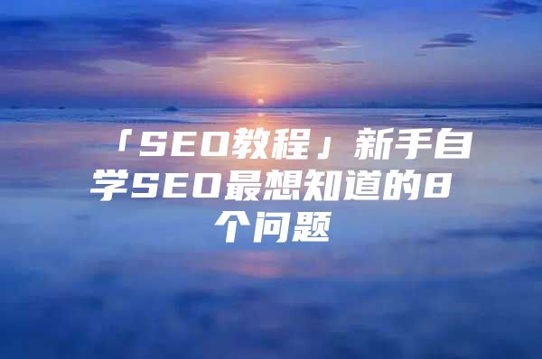 「SEO教程」新手自学SEO最想知道的8个问题
