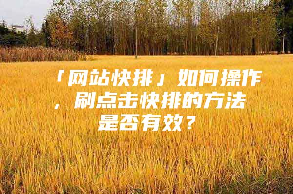 「网站快排」如何操作，刷点击快排的方法是否有效？