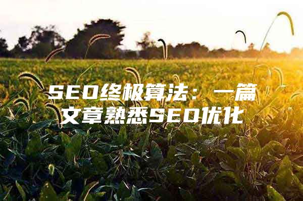 SEO终极算法：一篇文章熟悉SEO优化