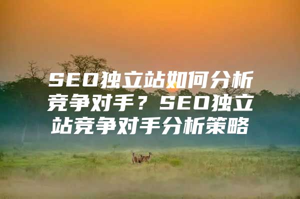SEO独立站如何分析竞争对手？SEO独立站竞争对手分析策略
