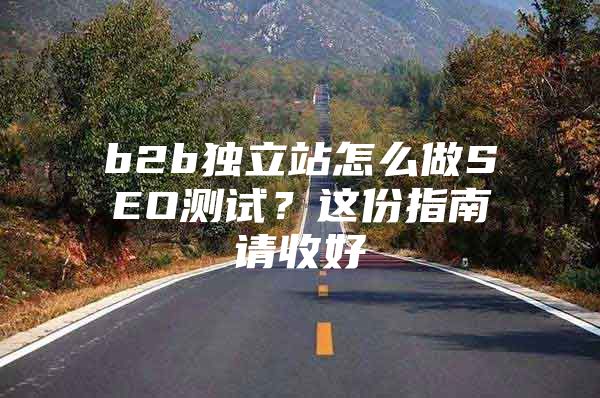 b2b独立站怎么做SEO测试？这份指南请收好