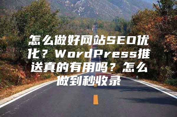 怎么做好网站SEO优化？WordPress推送真的有用吗？怎么做到秒收录