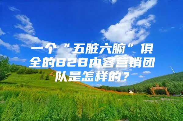 一个“五脏六腑”俱全的B2B内容营销团队是怎样的？