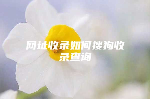 网址收录如何搜狗收录查询