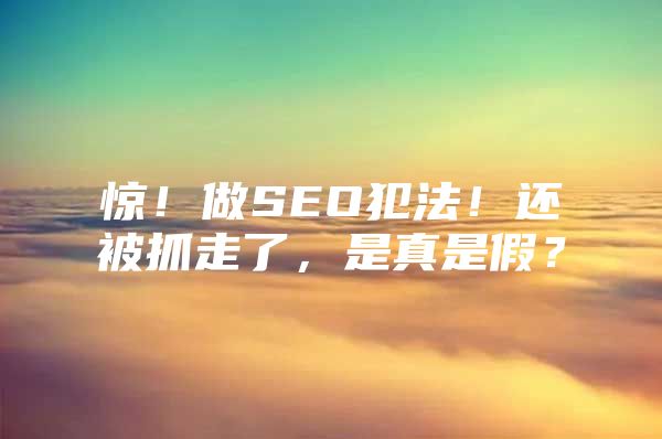 惊!做SEO犯法!还被抓走了,是真是假?