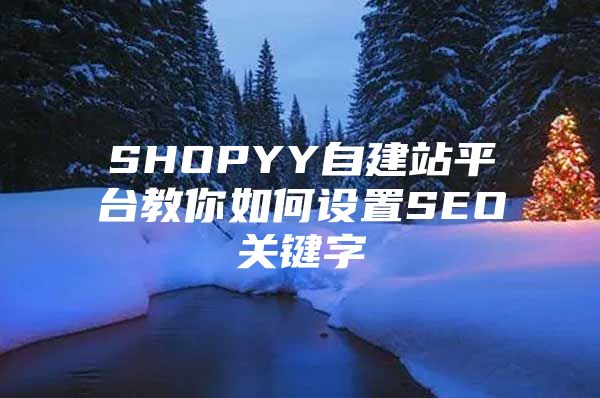 SHOPYY自建站平台教你如何设置SEO关键字