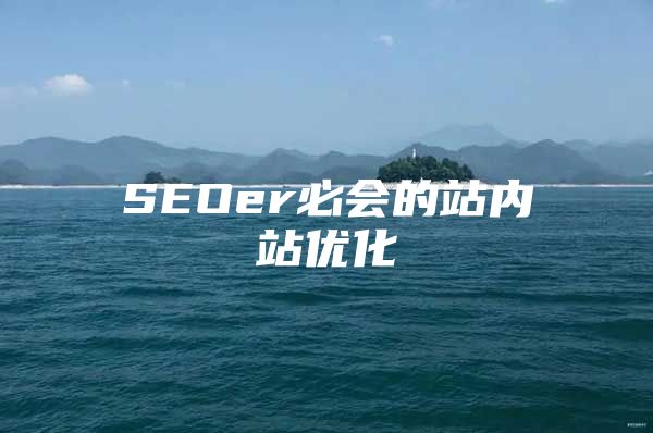 SEOer必会的站内站优化
