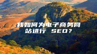 我如何为电子商务网站进行 SEO？