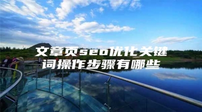 文章页seo优化关键词操作步骤有哪些