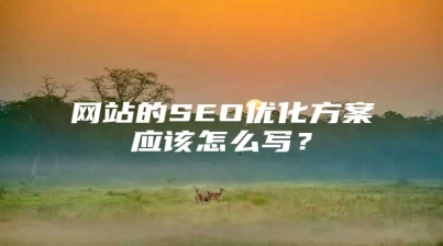 网站的SEO优化方案应该怎么写？