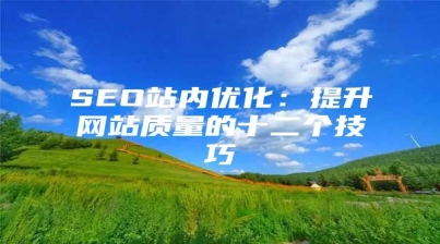 SEO站内优化：提升网站质量的十二个技巧