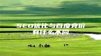 SEO优化与百度竞价有什么不同