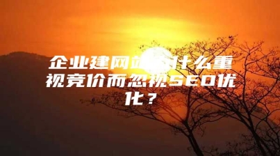 企业建网站为什么重视竞价而忽视SEO优化？
