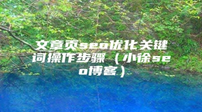 文章页seo优化关键词操作步骤（小徐seo博客）