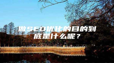 做SEO优化的目的到底是什么呢？