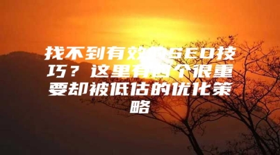 找不到有效的SEO技巧？这里有四个很重要却被低估的优化策略