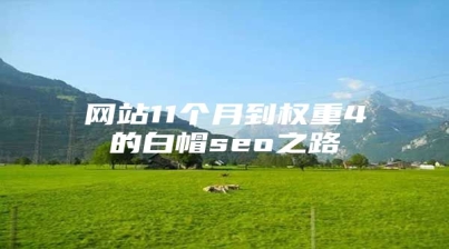 网站11个月到权重4的白帽seo之路