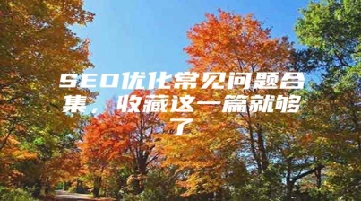 SEO优化常见问题合集，收藏这一篇就够了