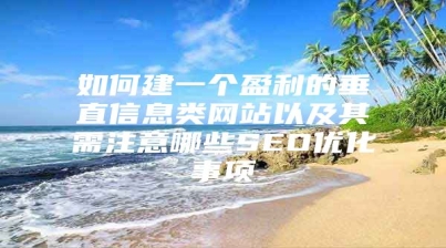 如何建一个盈利的垂直信息类网站以及其需注意哪些SEO优化事项