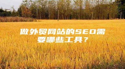 做外贸网站的SEO需要哪些工具？