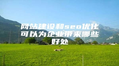 网站建设和seo优化可以为企业带来哪些好处