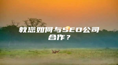 教您如何与SEO公司合作？