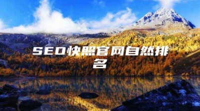 SEO快照官网自然排名
