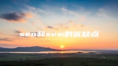 seo和sem的优缺点
