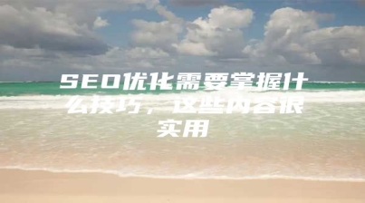 SEO优化需要掌握什么技巧，这些内容很实用