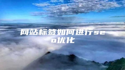 网站标签如何进行seo优化