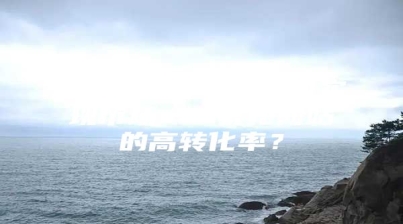「干货分享」如何实现市场seo优化网站的高转化率？