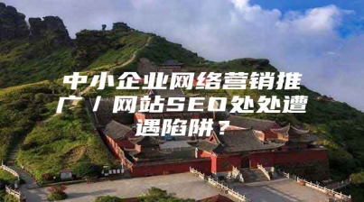 中小企业网络营销推广／网站SEO处处遭遇陷阱？