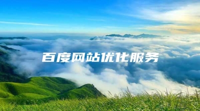 百度网站优化服务