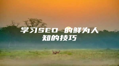 学习SEO 的鲜为人知的技巧