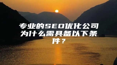 专业的SEO优化公司为什么需具备以下条件？