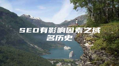 SEO有影响因素之域名历史