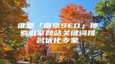 谁是「南京SEO」搜索引擎网站关键词排名优化专家