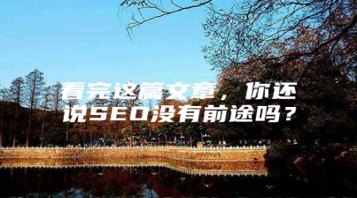 看完这篇文章，你还说SEO没有前途吗？