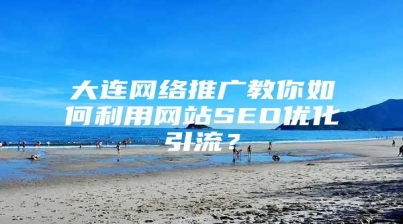大连网络推广教你如何利用网站SEO优化引流？