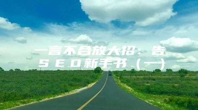 一言不合放大招：告ＳＥＯ新手书（一）