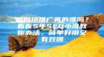 做网络推广真的难吗？看看5年SEO小哥教你办法，简单好用又有效哦
