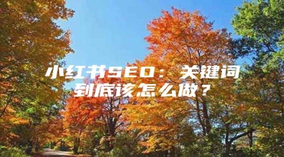 小红书SEO：关键词到底该怎么做？