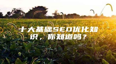 十大基础SEO优化知识，你知道吗？