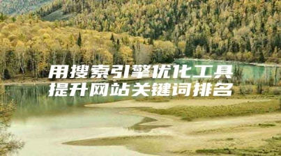 用搜索引擎优化工具提升网站关键词排名