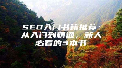 SEO入门书籍推荐：从入门到精通，新人必看的3本书