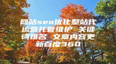 网站seo优化整站代运营托管维护 关键词排名 文章内容更新百度360
